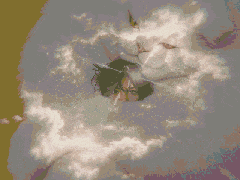 20250614_191515-04.gif