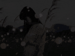 20250614_191515-01.gif