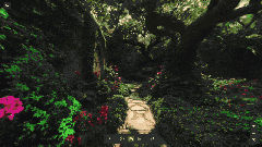 20250922_192320-01.gif